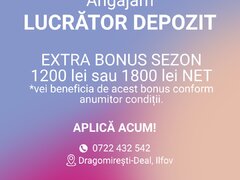 Lucrator depozit (Dragomiresti-Deal, IF) salariu intre 3500-4900 lei