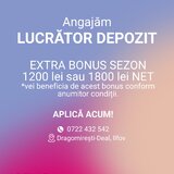 Lucrator depozit (Dragomiresti-Deal, IF) salariu intre 3500-4900 lei